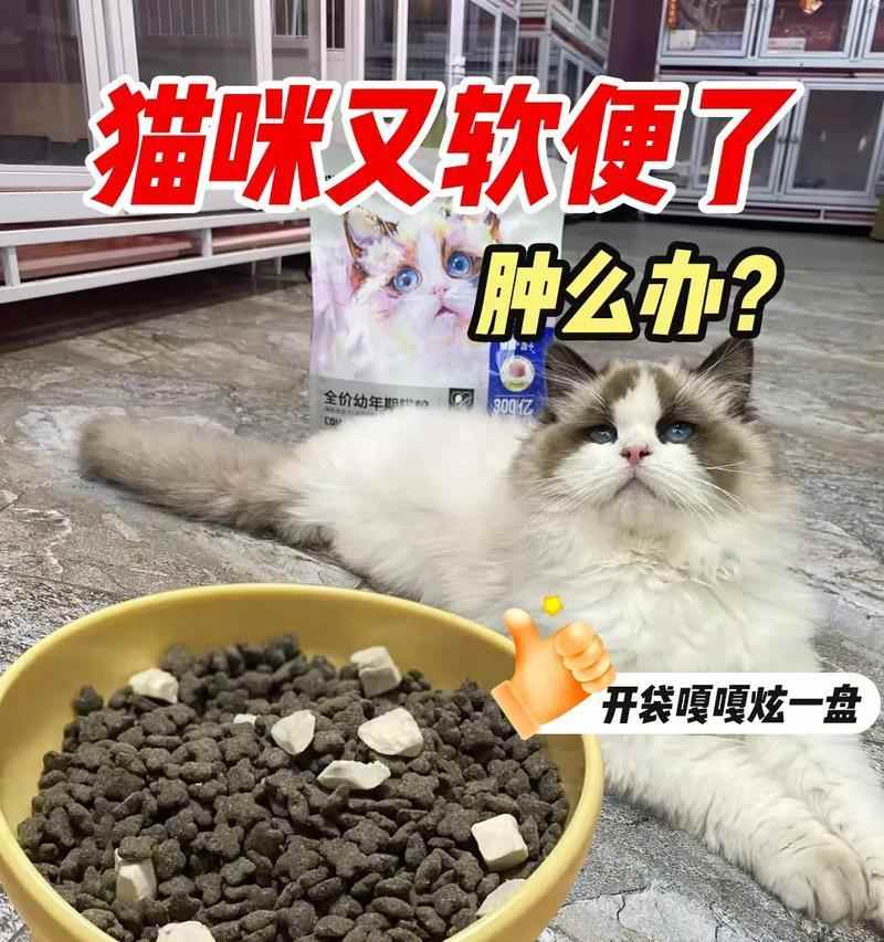 猫咪软便吃什么药？有效药物与注意事项全攻略(图2)
