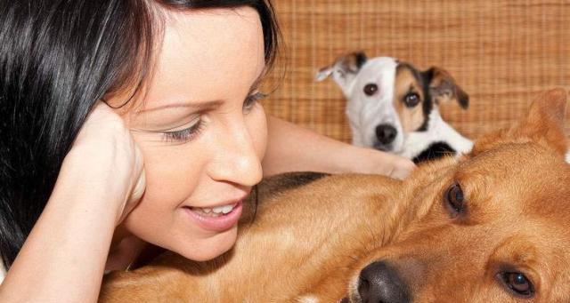 狗狗只生男宝宝之谜:遗传学还是多种因素综合作用(图3) 狗狗只生男宝宝之谜:遗传学还是多种因素综合作用(图3)