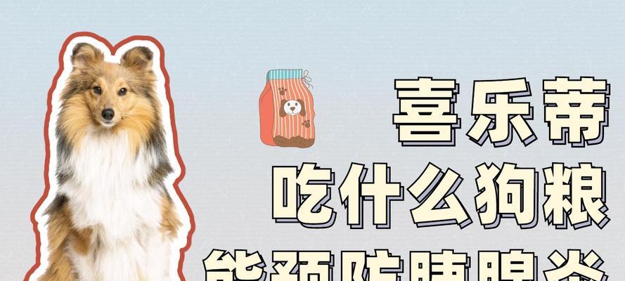 为什么狗狗需要吃狗粮？探索狗粮在狗狗饮食中的重要性｜全面指南(图2)