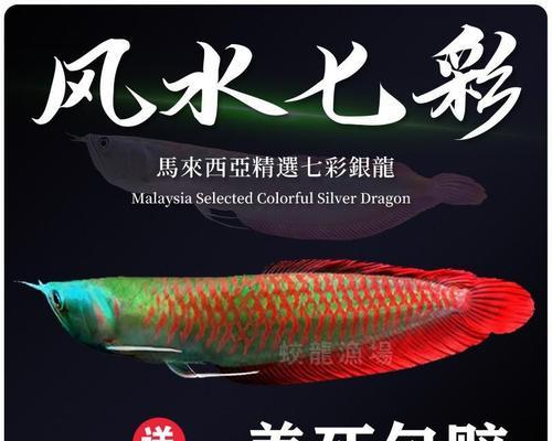 龙鱼水质要求及维护全攻略：掌握理想水质条件(图1)