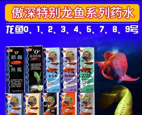 龙鱼水质要求及维护全攻略：掌握理想水质条件(图2)