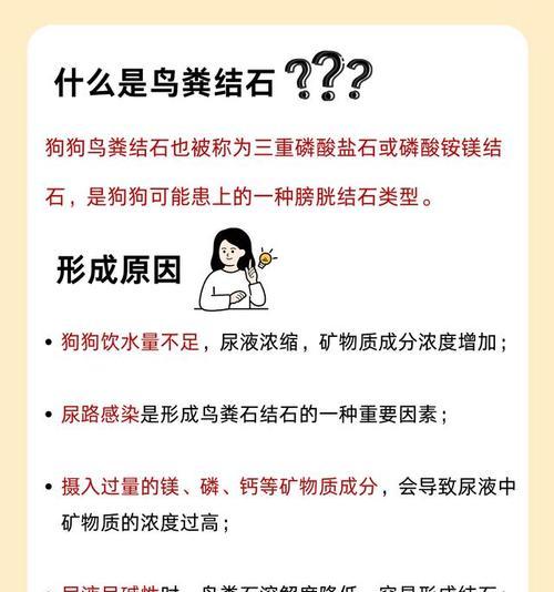 狗狗饮食防止结石的重要性：正确选择饮食预防结石全攻略