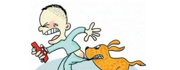 萨摩耶为什么咬人？原因分析与预防措施全攻略