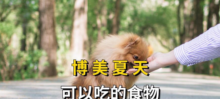 狗狗例假期间的饮食需求全攻略：如何科学照顾与关爱(图1)