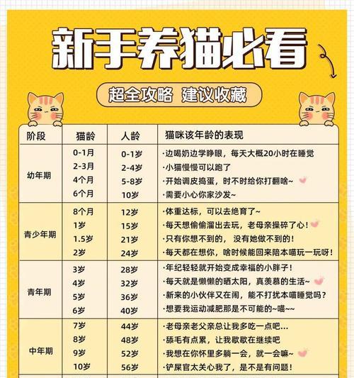 幼猫断奶时间和注意事项|正确方法与实用指南(图3) 幼猫断奶时间和注意事项|正确方法与实用指南(图3)