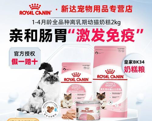 幼猫断奶时间和注意事项｜正确方法与实用指南