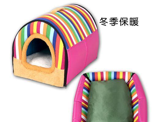 探秘以泰迪式的含义与魅力：温暖生活全攻略(图3)