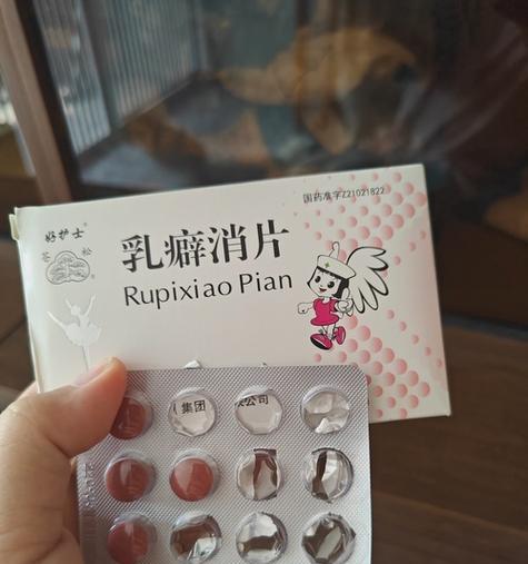 母猫产后饮食指南：提供合适营养保持健康｜全攻略(图3)