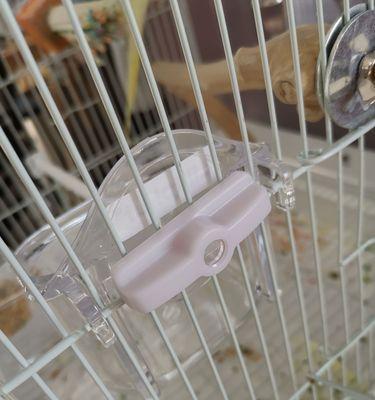 兔子食盆选购指南：如何选择合适的材质与尺寸｜实用建议(图1)