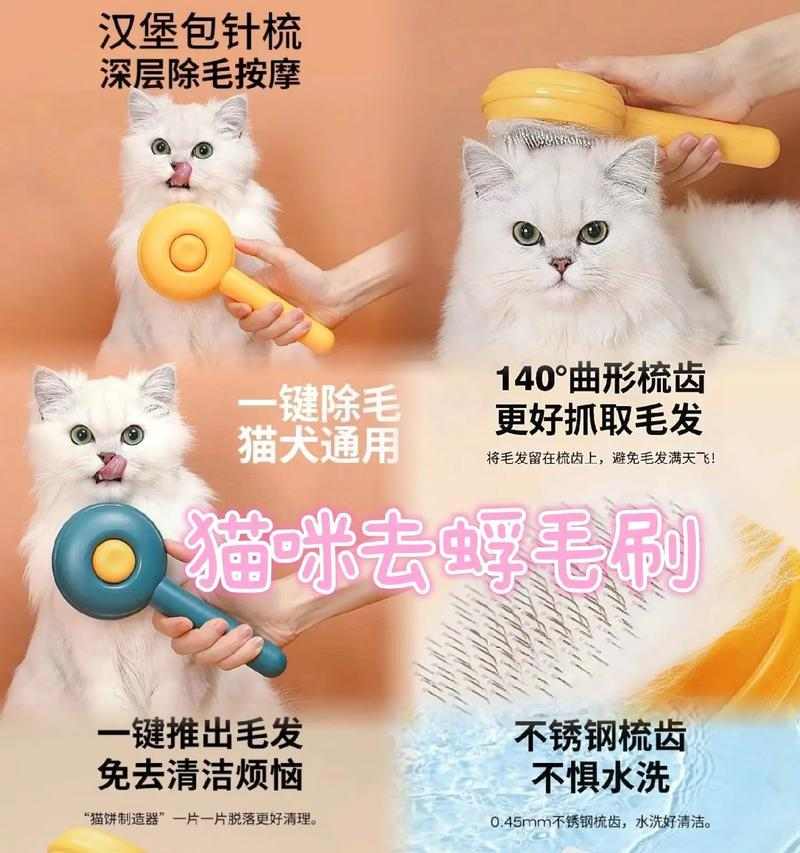 猫咪梳毛的好处：保持健康与美丽的实用指南(图2)