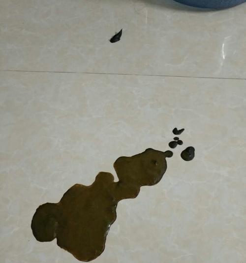 小而香：微观世界中的细小便便形态与生态作用全解析(图2)