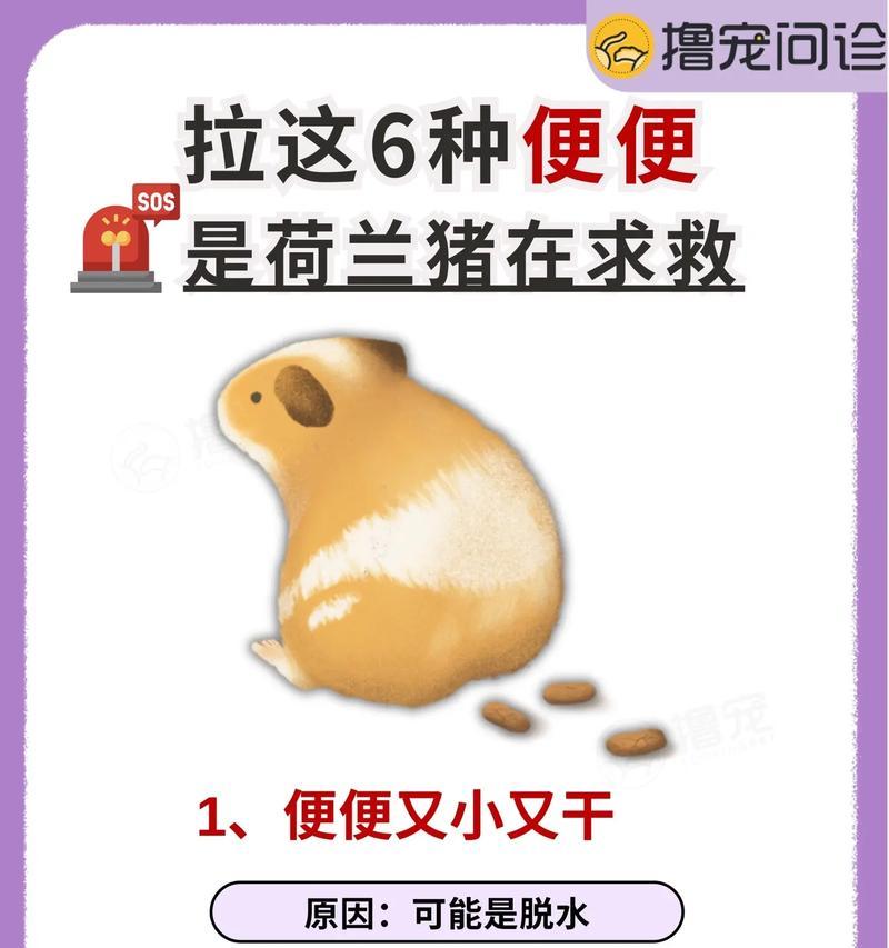 小而香：微观世界中的细小便便形态与生态作用全解析