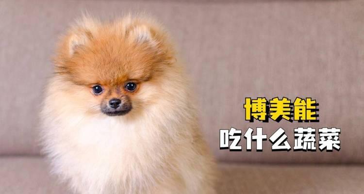 博美犬禁食食品全攻略：从头到尾告诉你不能吃什么(图2)