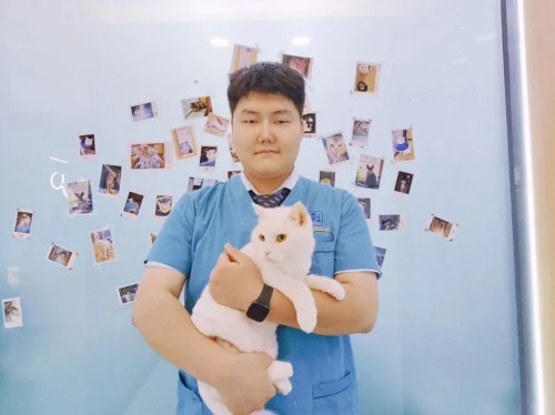 瑞辰宠物医院集团第3周每周之星光荣榜｜优秀员工事迹展示(图6)