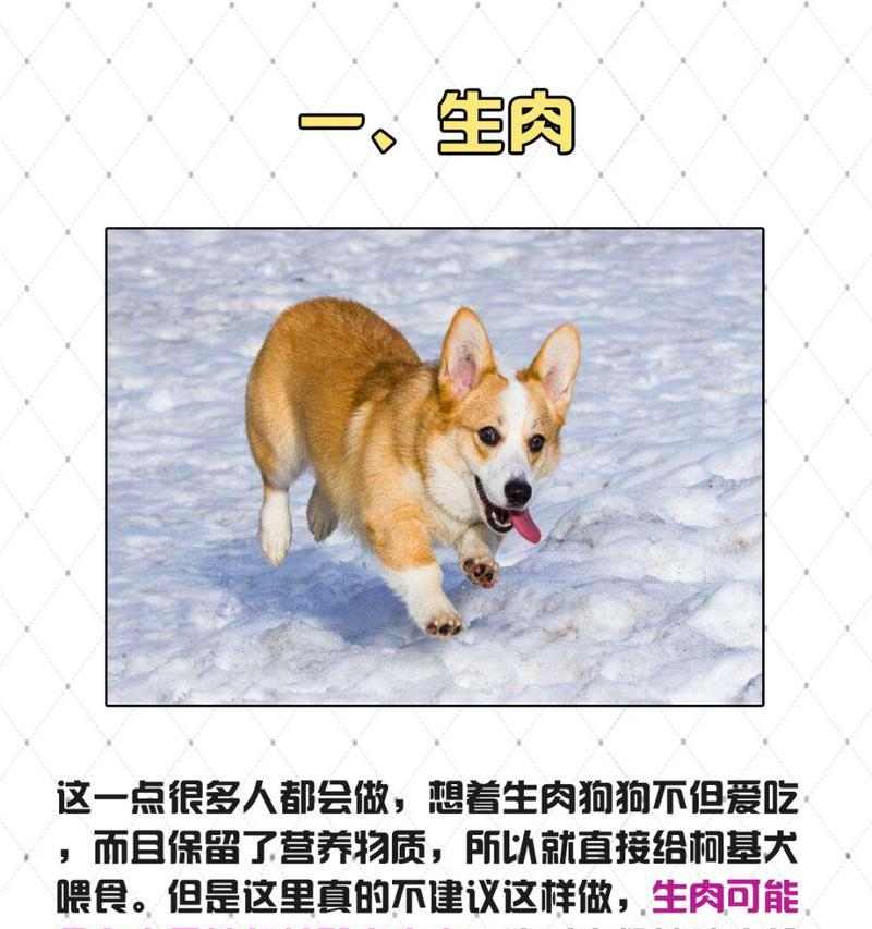 新生狗狗饮食指南：从母乳到固体食物的健康喂养(图3)