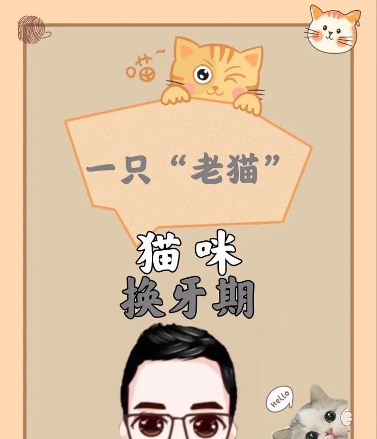 法斗换牙期照顾指南:15个关键注意事项|实用攻略(图3) 法斗换牙期照顾指南:15个关键注意事项|实用攻略(图3)