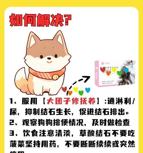 狗狗饮食防止结石的重要性:如何正确选择饮食预防结石|实用指南(图2) 狗狗饮食防止结石的重要性:如何正确选择饮食预防结石|实用指南(图2)