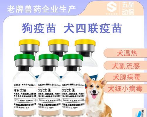 宠物狗每年需要接种的疫苗有哪些?接种注意事项全攻略(图3) 宠物狗每年需要接种的疫苗有哪些?接种注意事项全攻略(图3)