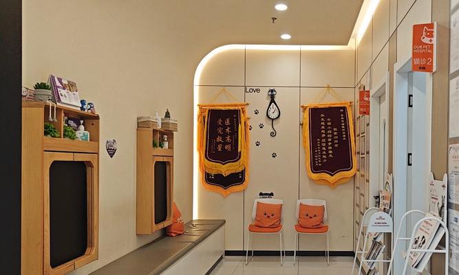 宠物医院治疗与保健全攻略：守护爱宠健康的一站式服务(图2)