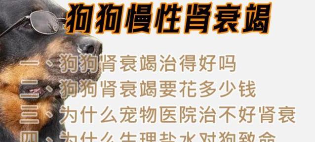 狗狗肾衰吃什么好？低蛋白饮食与护理全攻略(图2)