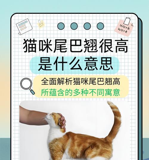 猫尾巴揭示心情的奥秘：从尾巴姿态读懂猫咪内心世界｜实用指南(图3)