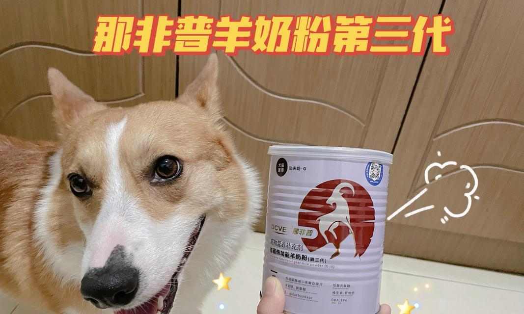 狗狗拉肚子治愈后的饮食恢复计划｜实用指南