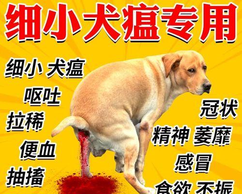 犬瘟腹泻治疗全攻略(图3)