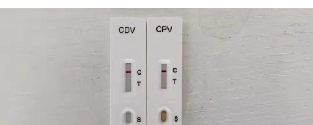 犬瘟腹泻治疗全攻略