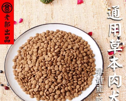 金毛肠炎药物止泻治疗方法｜有效缓解症状实用指南