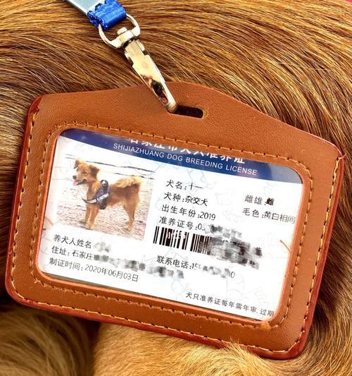 深圳办理狗证流程详解｜必备材料与步骤全攻略(图2)