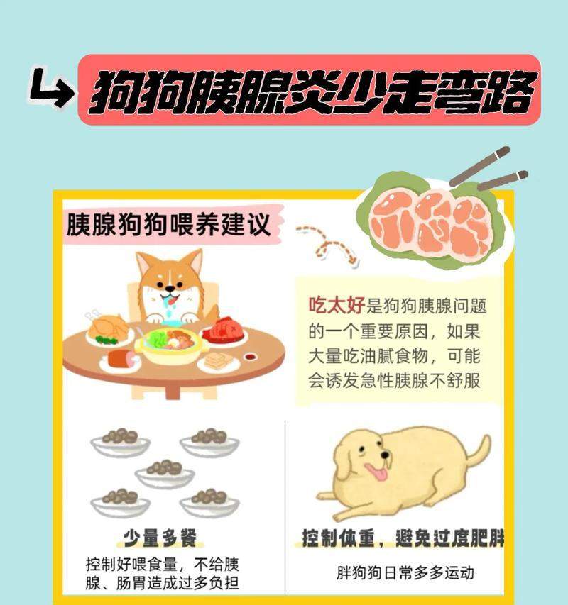 揭秘狗狗长不胖的原因全攻略(图3)