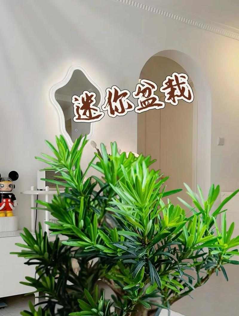 罗汉鱼混养指南:选择合适伙伴的关键要素(图2) 罗汉鱼混养指南:选择合适伙伴的关键要素(图2)