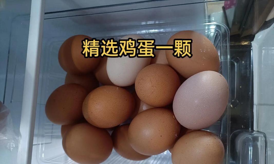 猫咪毛色绚丽饮食秘诀｜营养均衡全攻略