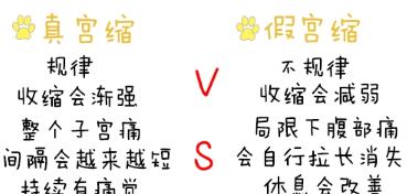 泰迪狗宫缩原因症状与应对方法|全面解析指南(图3) 泰迪狗宫缩原因症状与应对方法|全面解析指南(图3)