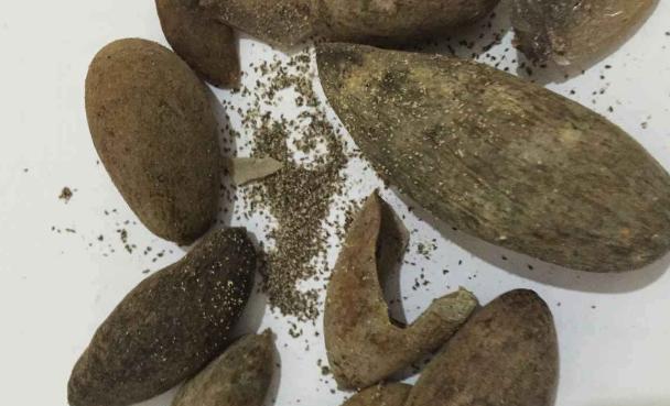 肚子长虫常见症状与预防指南｜健康生活必备知识