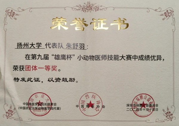 赛学双优团队全员保研｜保研经验分享(图18)