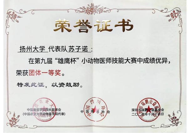 赛学双优团队全员保研｜保研经验分享(图24)