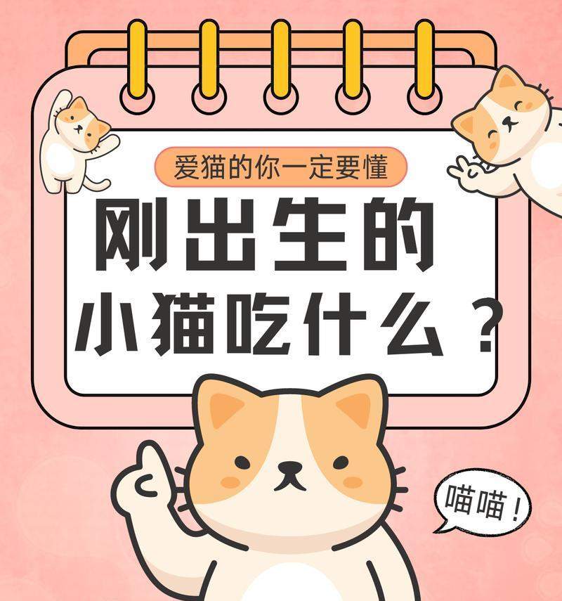 小猫仔饮食需求与营养均衡全攻略