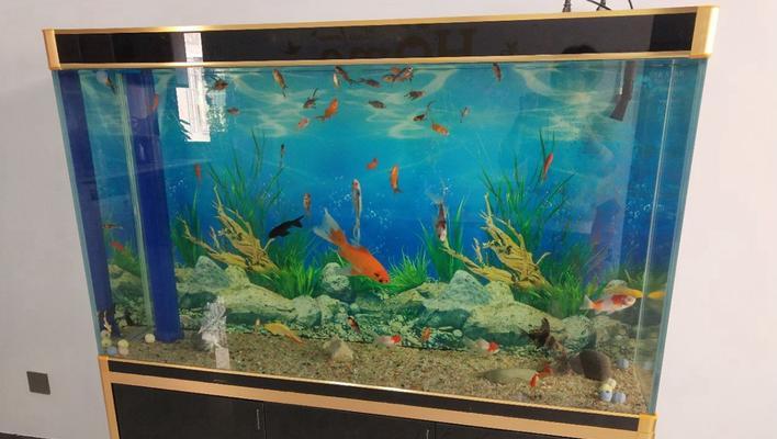 1米五鱼缸的鱼类养殖之道（选择适合1米五鱼缸的鱼类，打造迷人水族乐园）(图3)