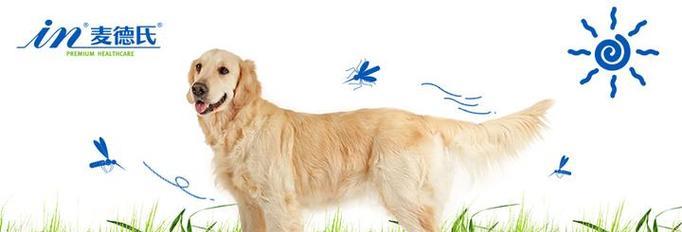 狗的散热机制与方法（探索狗如何通过哪些途径来进行散热）(图1)