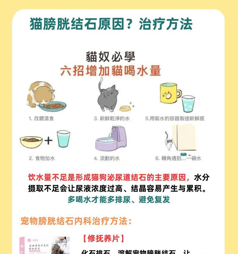猫为什么突然尿在床上？（探究猫突然改变尿尿习惯的原因和解决办法）(图1)