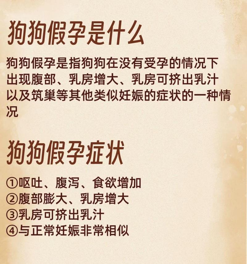如何分辨狗狗的真假怀孕（辨别狗狗真假怀孕的方法及注意事项）(图1)