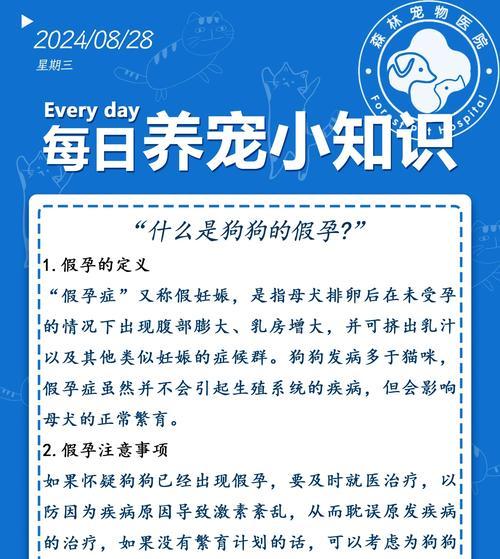 如何分辨狗狗的真假怀孕（辨别狗狗真假怀孕的方法及注意事项）(图2)