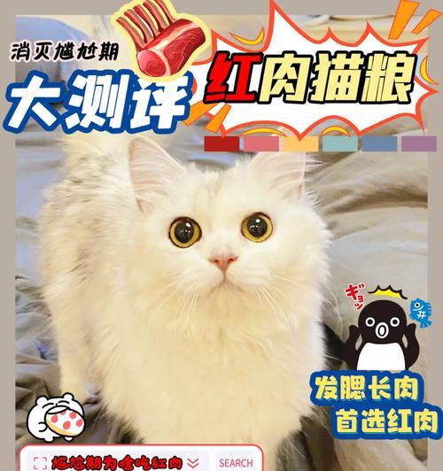 进口猫粮为什么断货？（探究进口猫粮断货背