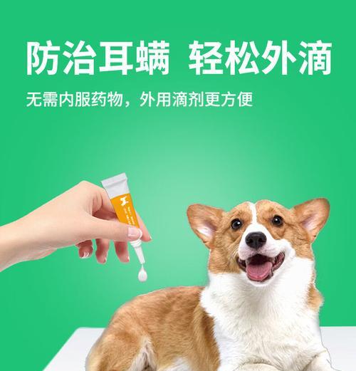 选择适合的狗用体外驱虫药物保护您的宠物健康（了解不同类型的狗用体外驱虫药物及其适应症）(图3)