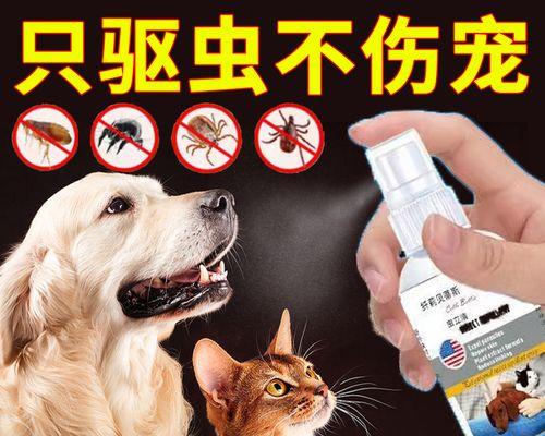 选择适合的狗用体外驱虫药物保护您的宠物健康（了解不同类型的狗用体外驱虫药物及其适