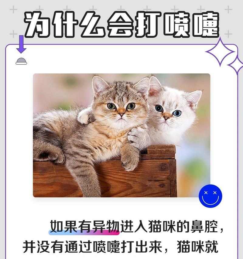 猫为什么会头痒?(探究猫咪头痒的原因及解决方法)(图3) 猫为什么会头痒?(探究猫咪头痒的原因及解决方法)(图3)