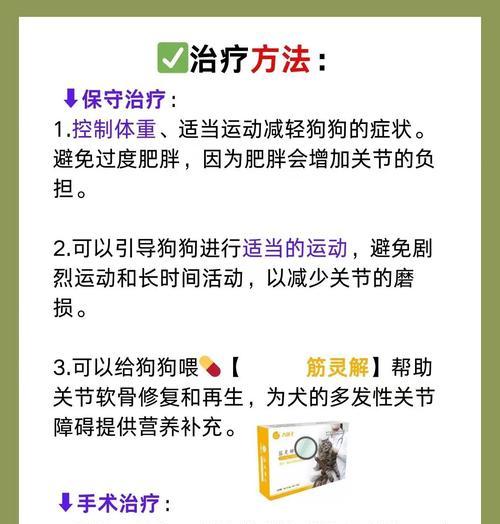 金毛的运动量有多大？如何避免运动伤害？（了解金毛犬的运动需求，掌握科学的运动防护方法）(图3)