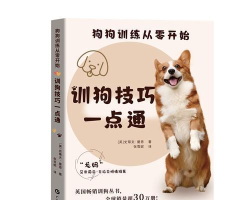 犬的基础训练方法及技巧（培养狗狗良好行为习惯的关键技巧与实践）(图2)