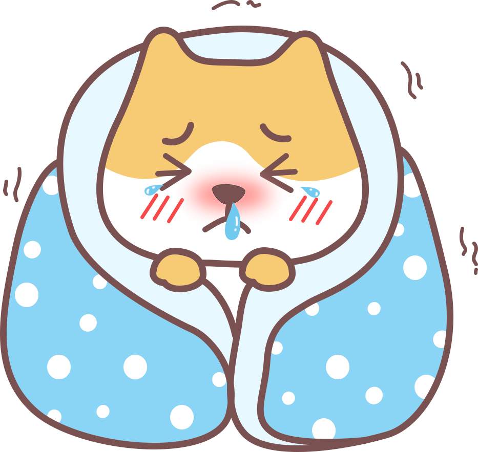 怎么避免猫咪得“空调病”?(图4) 怎么避免猫咪得“空调病”?(图4)